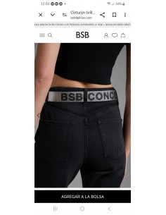 Cinturon Plata Logo 2